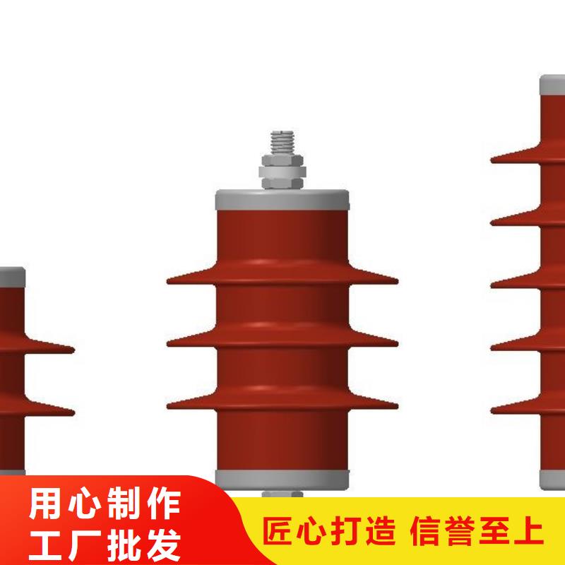 氧化锌避雷器户外高压真空智能断路器工厂直供