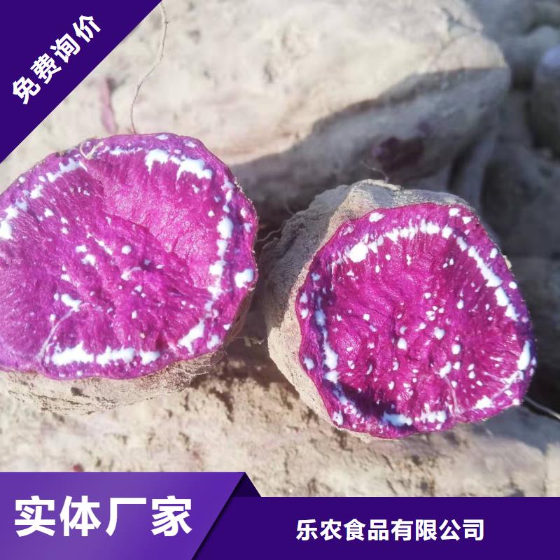 紫薯苗胡萝卜丁源头工厂