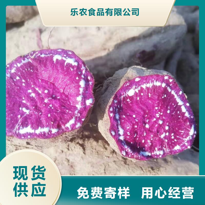 紫薯苗【南瓜粉】工厂价格