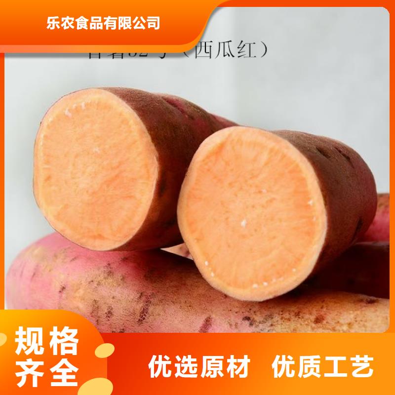 紫薯苗【南瓜粉】经久耐用