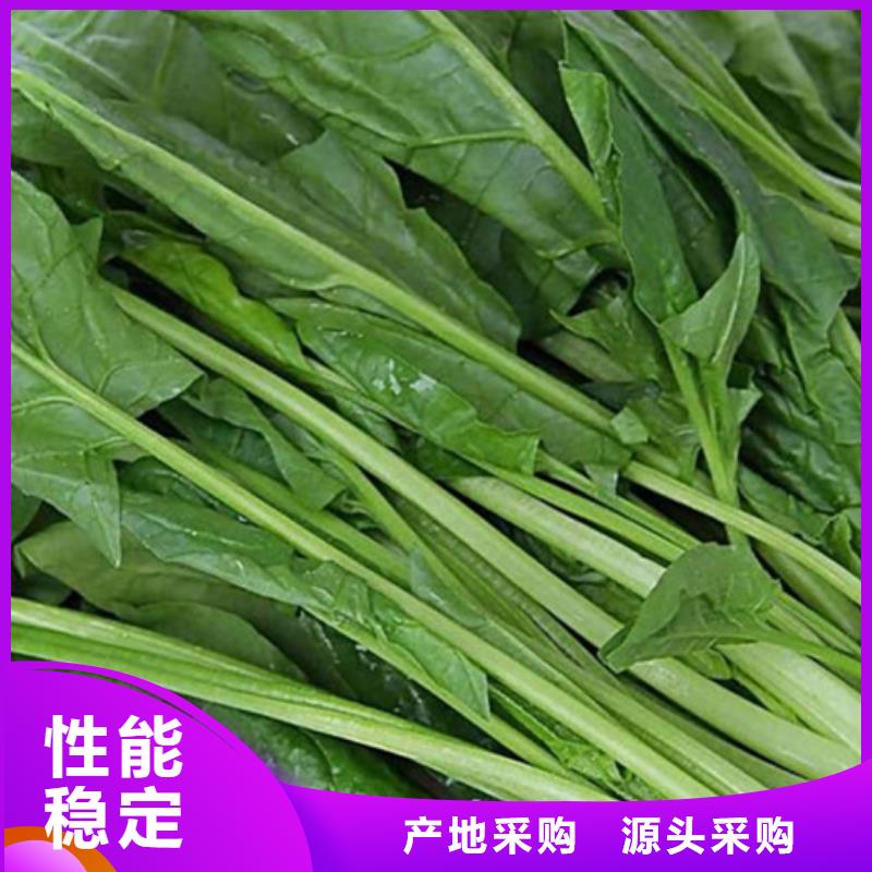 绿色菠菜粉成功案例