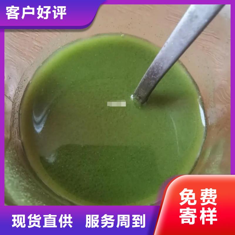 羽衣甘蓝粉末实力厂家