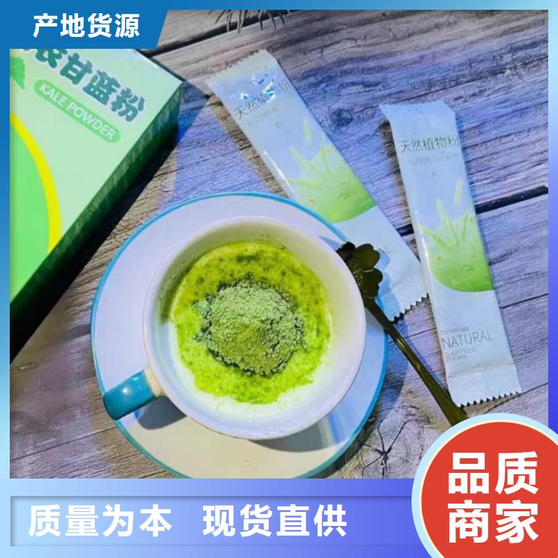 脱水羽衣甘蓝厂家价格
