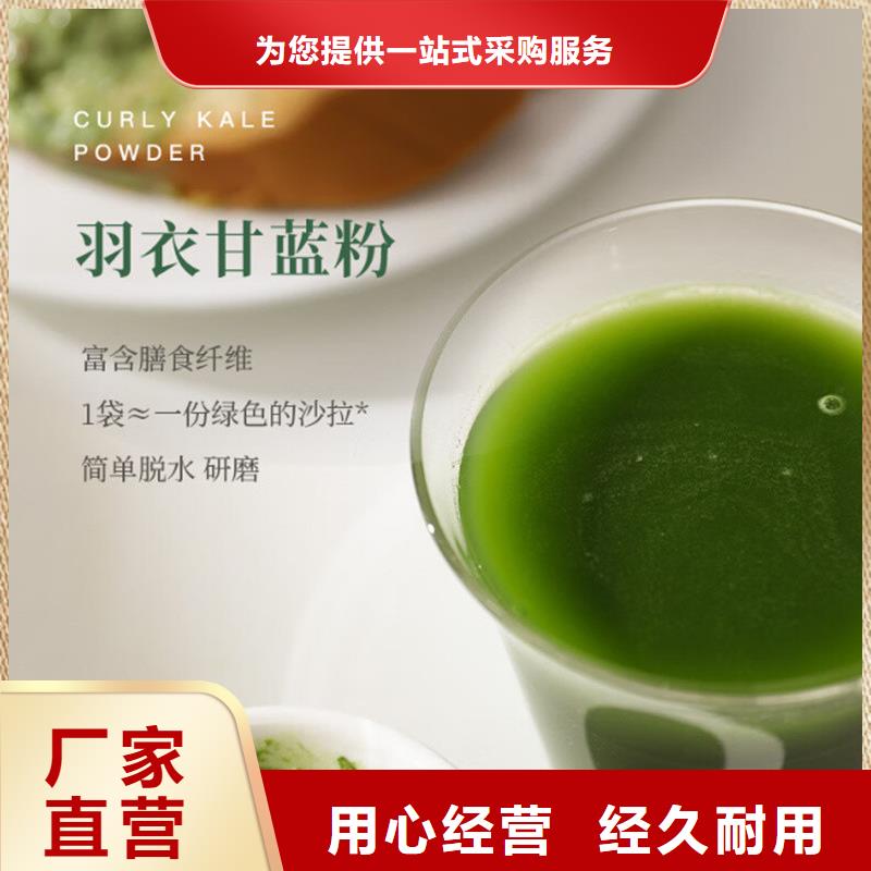 经验丰富的羽衣甘蓝厂家