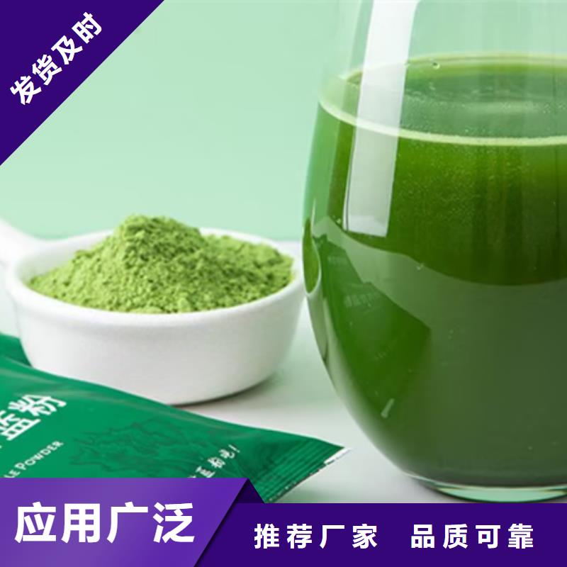 可按需定做羽衣甘蓝粉饮料的厂家