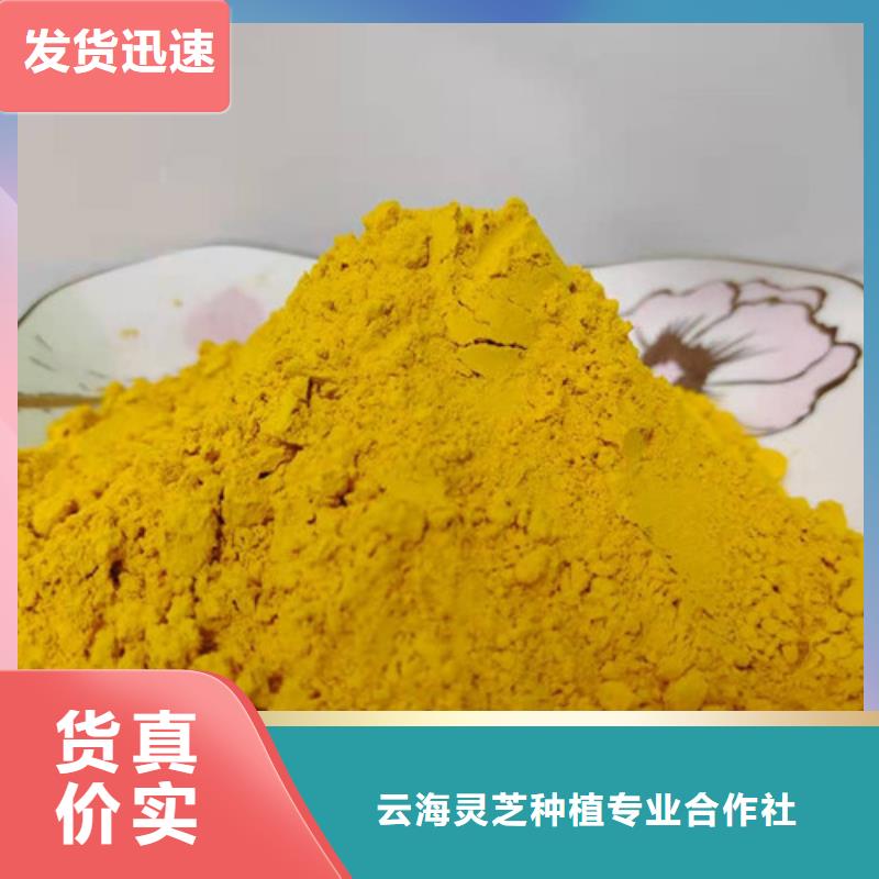 南瓜粉灵芝子实体切片厂家新品