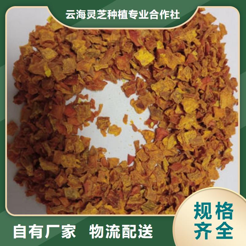 南瓜丁-灵芝孢子粉可定制有保障