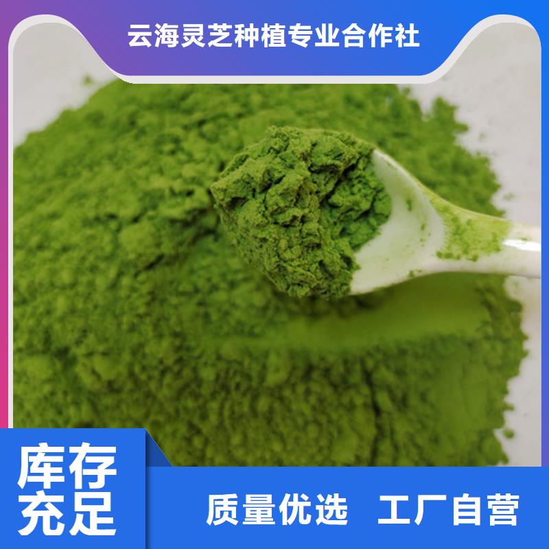 菠菜粉灵芝孢子粉一手货源源头厂家