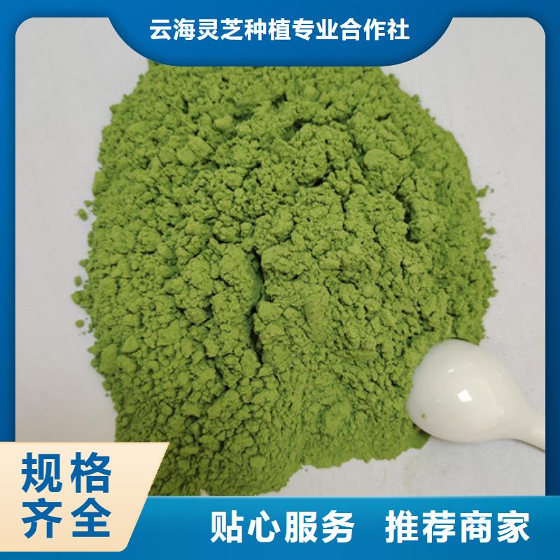 菠菜粉-灵芝粉货源报价
