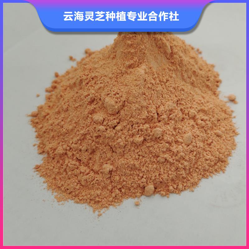 胡萝卜粉-灵芝盆景联系厂家