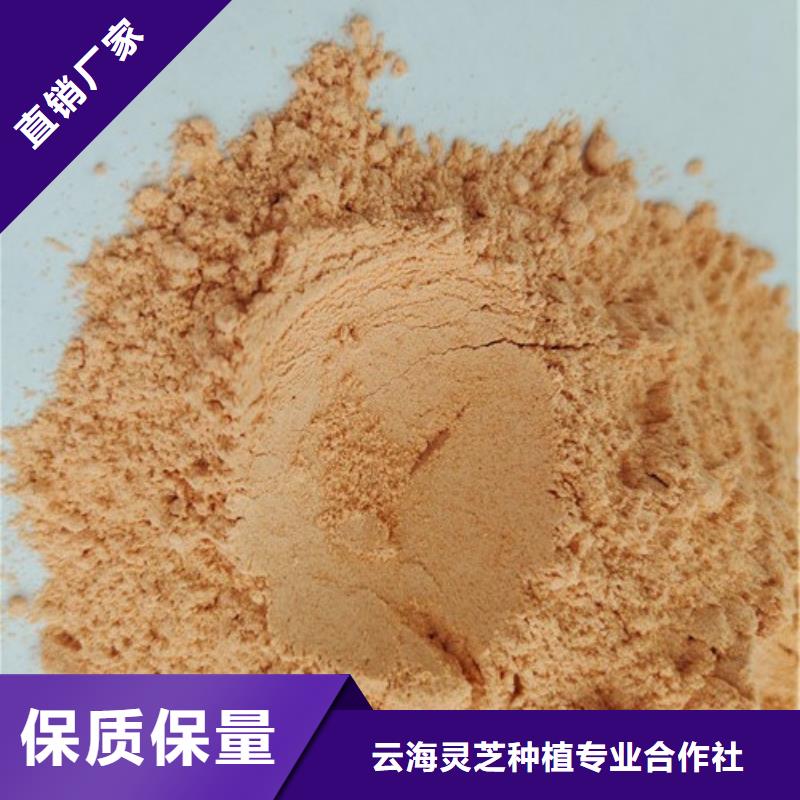 【胡萝卜粉】灵芝孢子粉生产加工
