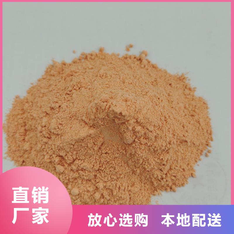 胡萝卜粉灵芝子实体切片发货迅速
