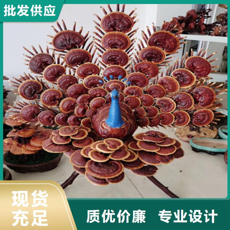 灵芝孢子粉-灵芝菌种详细参数
