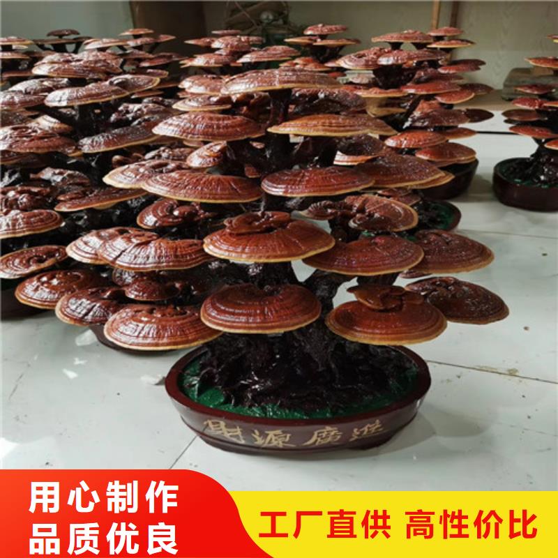 灵芝孢子粉【灵芝孢子粉价格】精品优选