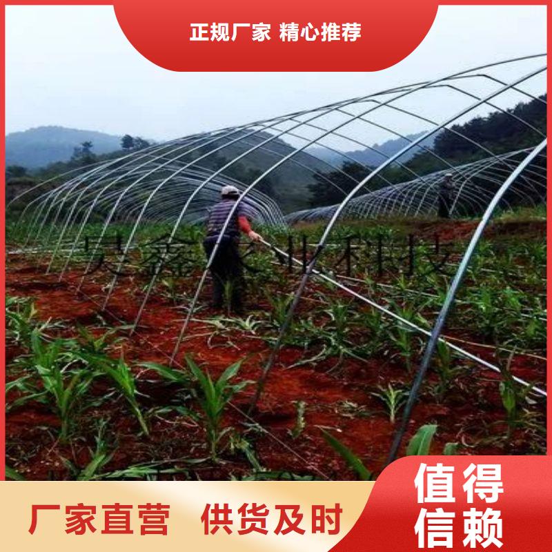 大棚管2温室大棚管设备齐全支持定制