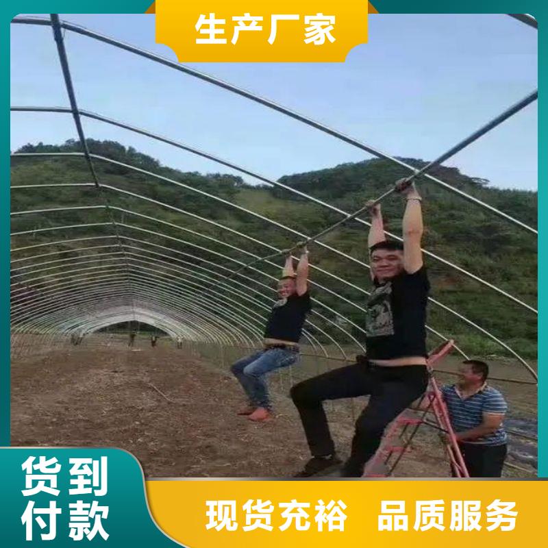 【大棚管2】_大棚管一个起售