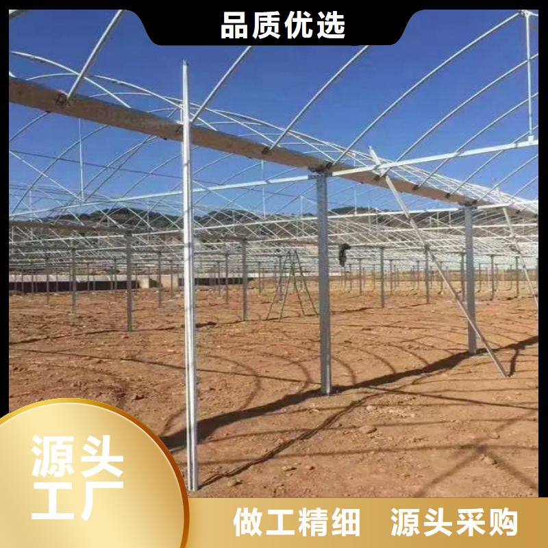 【大棚管2大棚管支持定制】