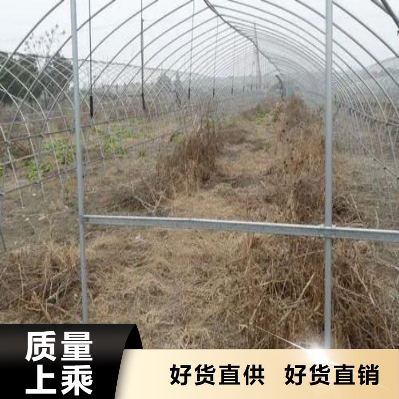 大棚管2温室大棚管严选好货