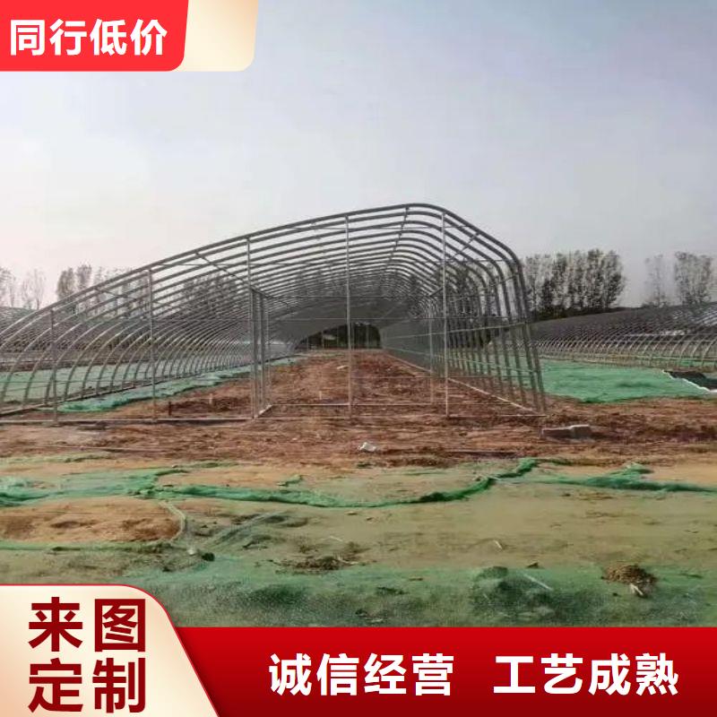 大棚管2温室大棚源头厂源头货