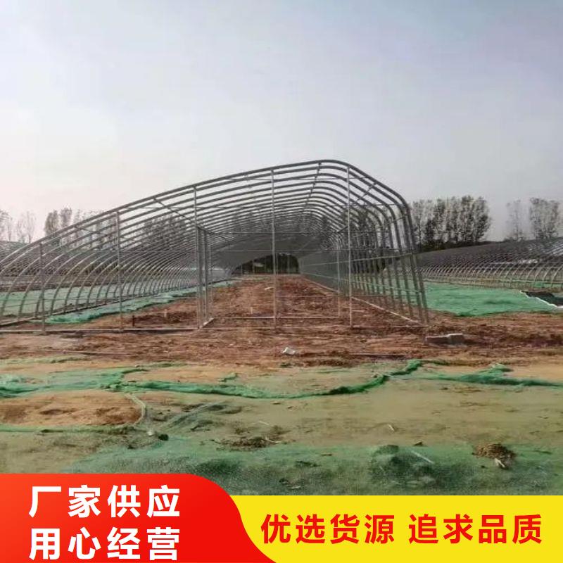 大棚管2【温室大棚管】品质保障价格合理