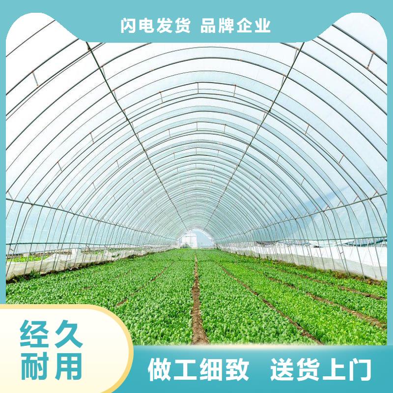 【大棚管2】_大棚管品种全