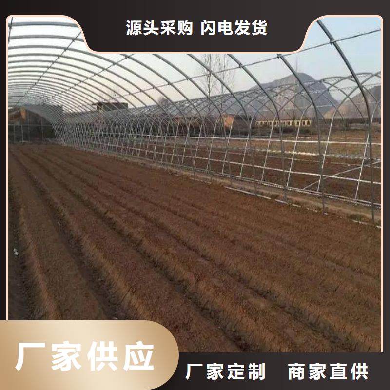 大棚管2连体大棚本地厂家值得信赖
