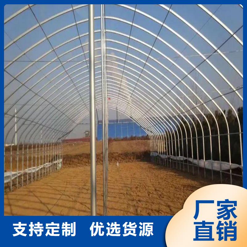 【大棚管2】大棚管当日价格