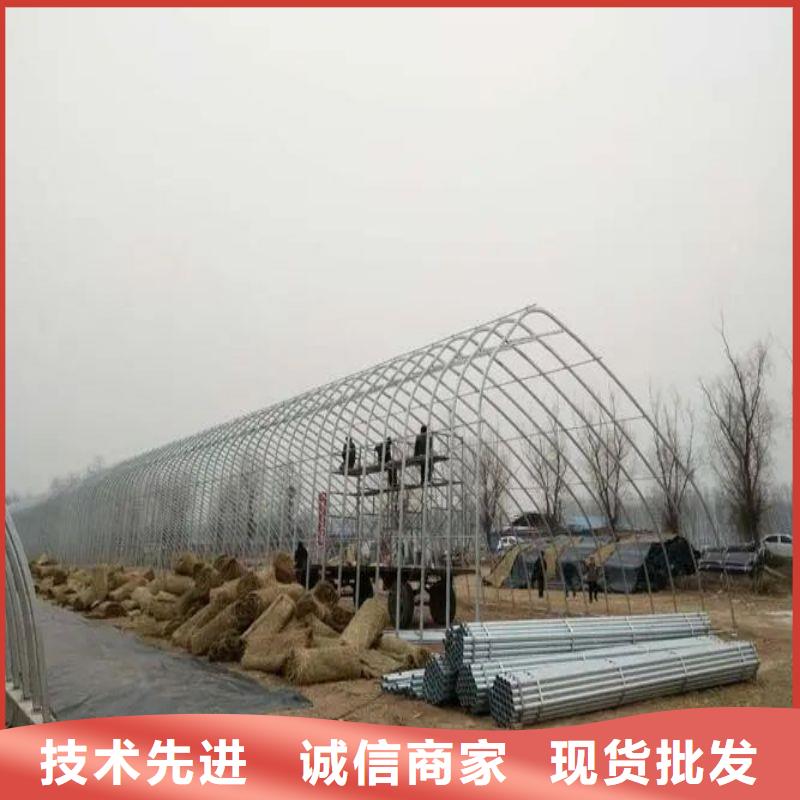 大棚管2大棚管可零售可批发