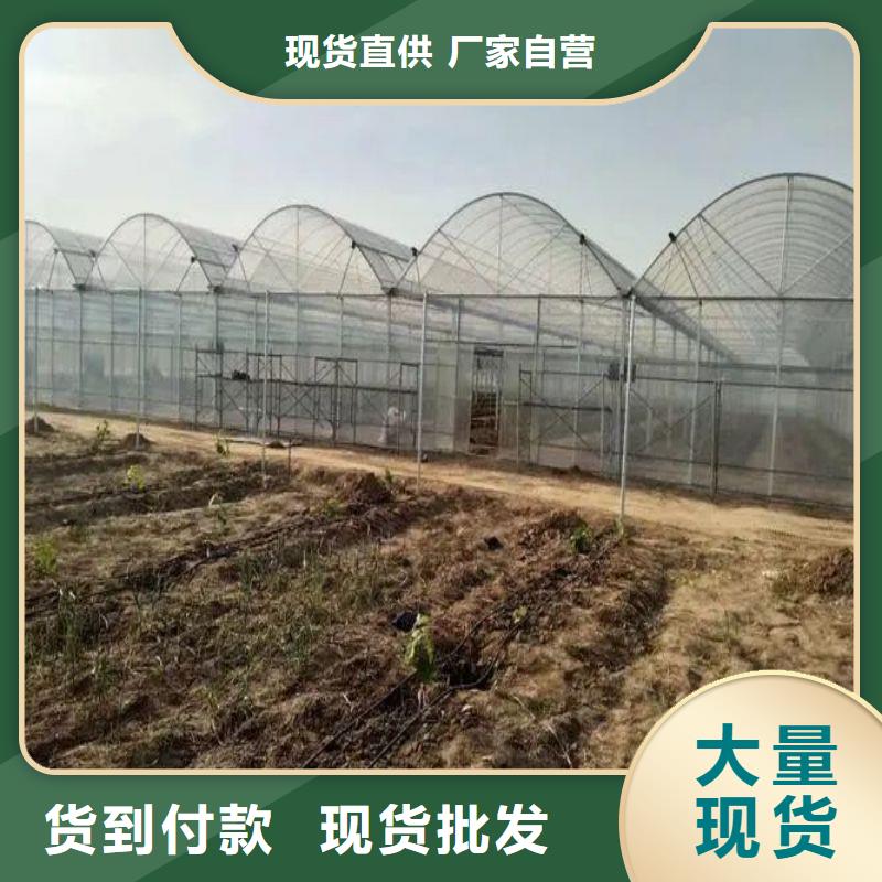 大棚管2连栋大棚管现货销售