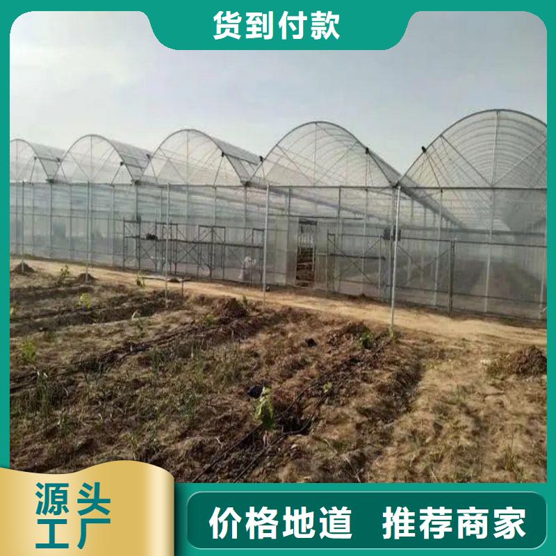 大棚管2方矩管现货充裕