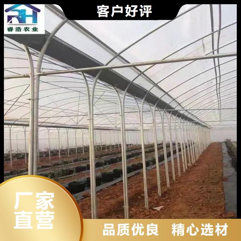 大棚管2 连栋大棚管打造行业品质