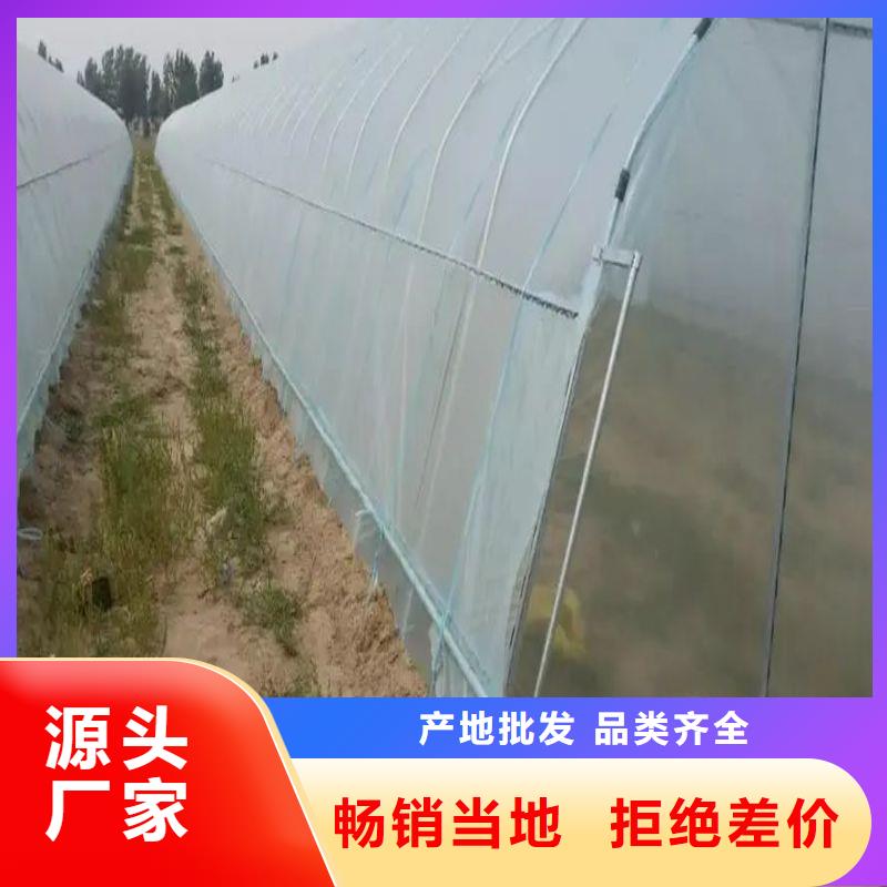 大棚管2方管海量货源