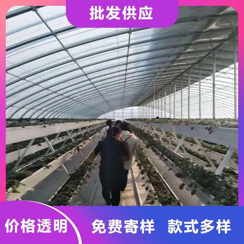 大棚管2连栋大棚管大厂家实力看得见