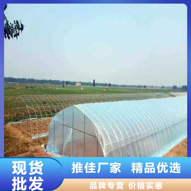 【大棚管2大棚管支持定制】
