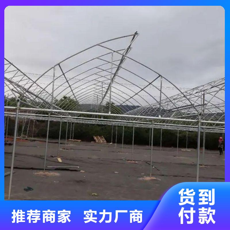大棚管2_连体大棚把实惠留给您