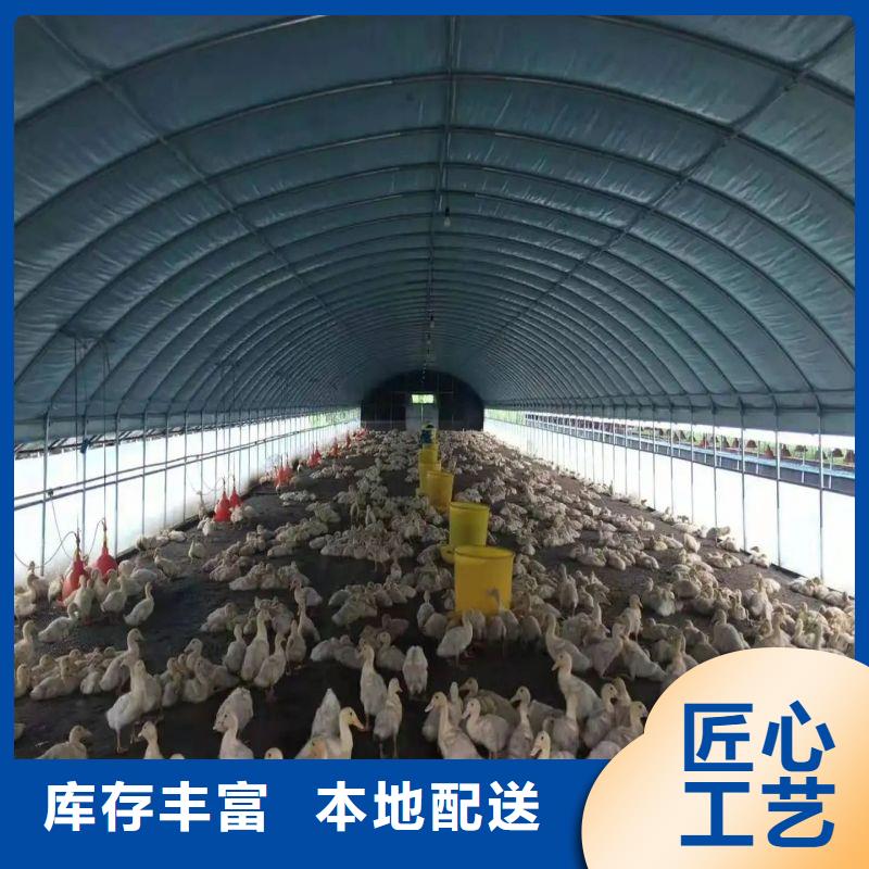 大棚管2温室薄膜大棚一件也发货