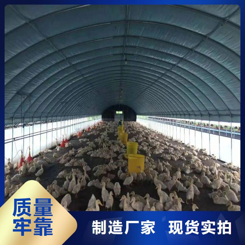大棚管2
蔬菜温室大棚管源头实体厂商
