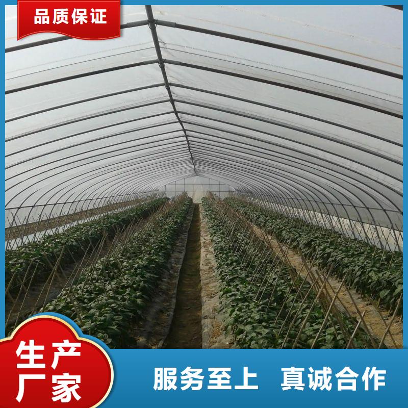 大棚管2连栋大棚管现货销售