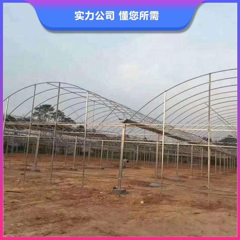 大棚管2镀锌方管诚信商家服务热情