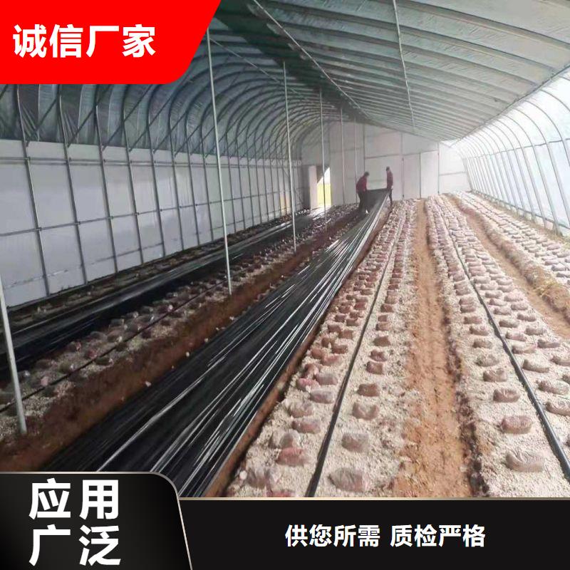 【大棚管2温室大棚管可接急单】