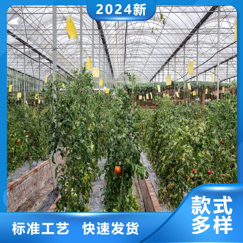 大棚管2连栋大棚管现货销售