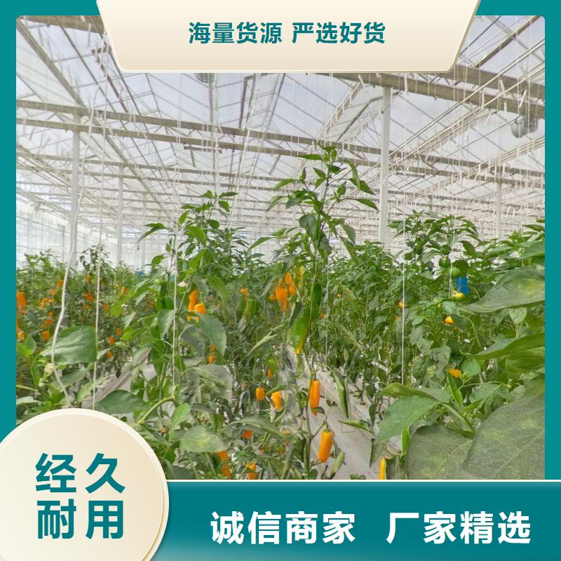 【大棚管2
蔬菜温室大棚管出货快】