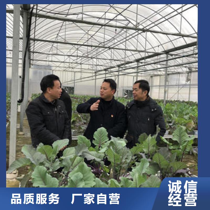 【大棚管】温室大棚管细节展示