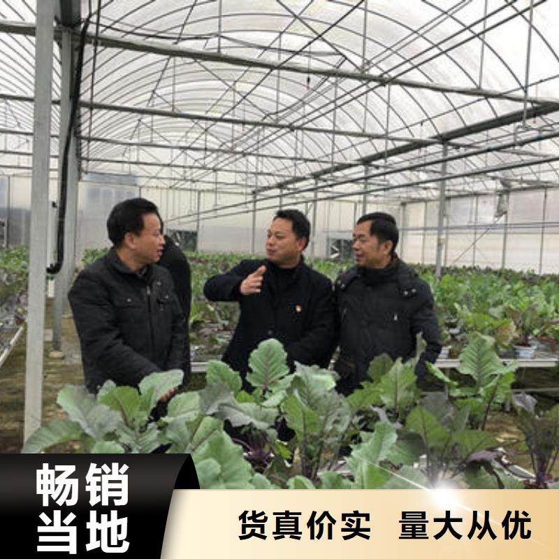 大棚管,智能温室大棚好产品不怕比
