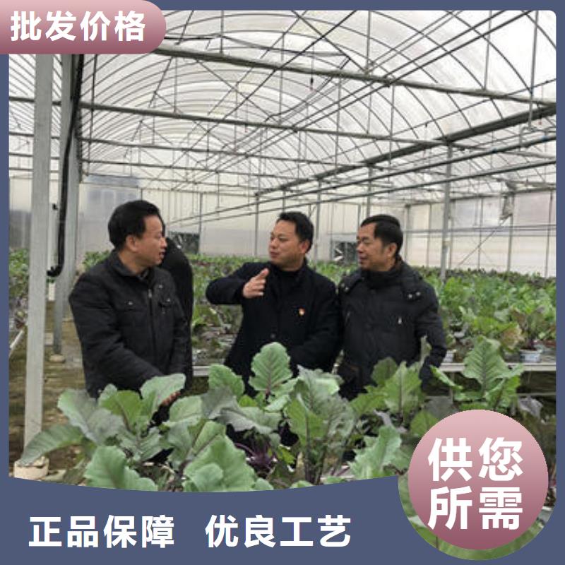 【大棚管镀锌方管好品质经得住考验】