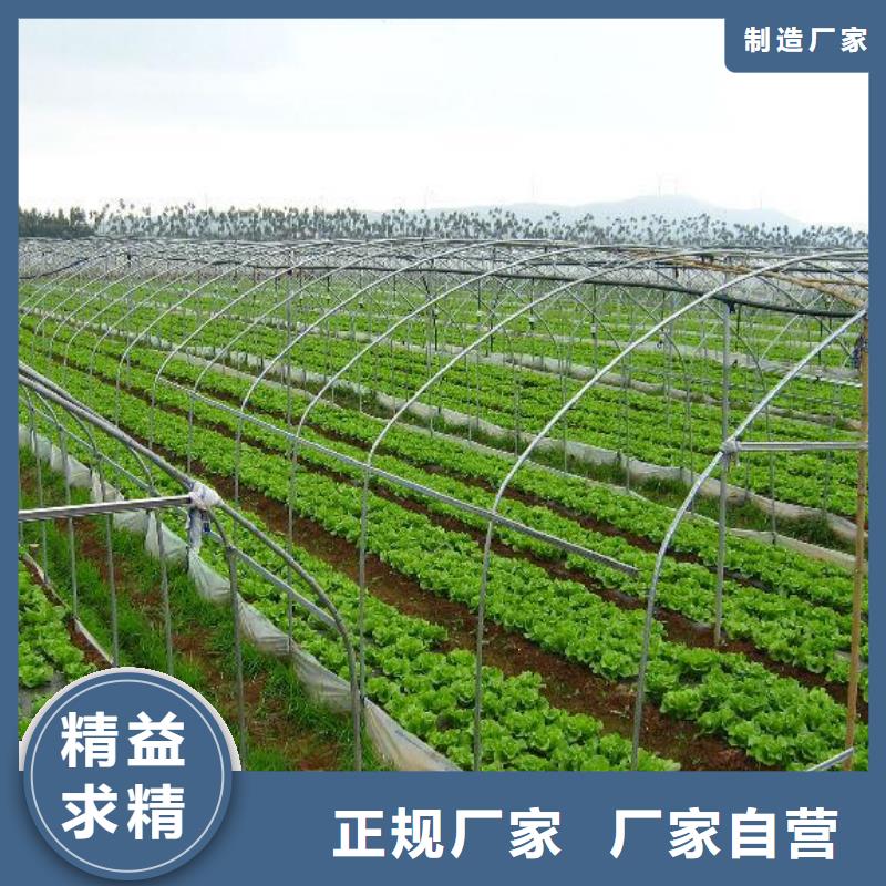 大棚管蔬菜温室大棚管品质保障售后无忧