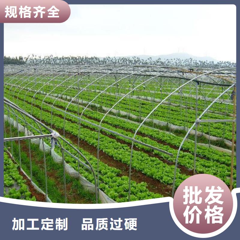 大棚管连栋温室搭建库存充足