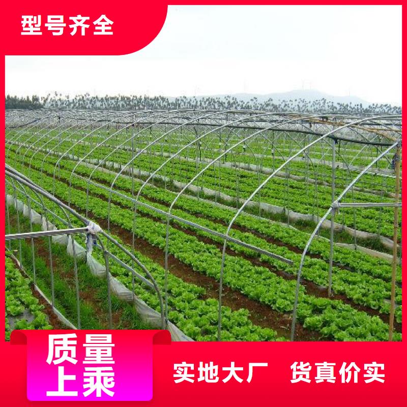 大棚管椭圆管温室大棚每个细节都严格把关