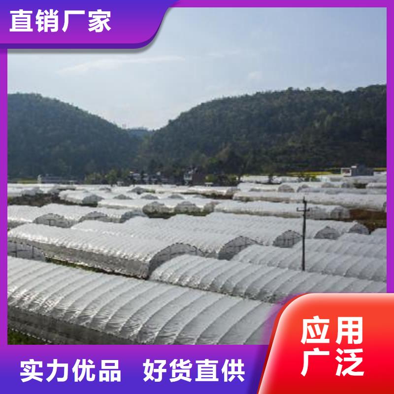 大棚管椭圆管温室大棚源头厂家经验丰富