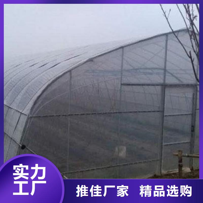 大棚管连栋大棚管诚信经营质量保证